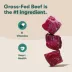 Jinx All Life Stages Dry Dog Food - Beef Brown Rice & Sweet Potato image thumbnail 3