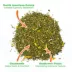 Meowijuana Daydreamer Mix Tube Cat Toy image thumbnail 3