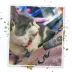 Meowijuana Daydreamer Mix Tube Cat Toy image thumbnail 5