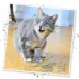 Meowijuana Purple Passion Blend Catnip Tube Cat Toy image thumbnail 6