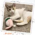 Meowijuana Get Wrapped Refillable Cat Toy image thumbnail 6