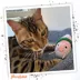 Meowijuana Get Wrapped Refillable Cat Toy image thumbnail 7