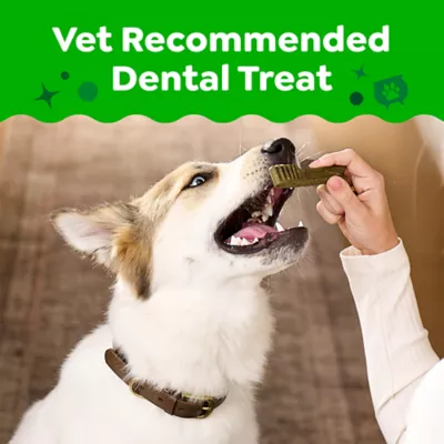 Greenies Adult Natural Dental Dog Treats Regular Size, Pumpkin Spice Flavor, 12 oz. Pack, 12 Count - Image 2
