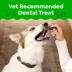 Greenies Adult Natural Dental Dog Treats Regular Size, Pumpkin Spice Flavor, 12 oz. Pack, 12 Count image thumbnail 2