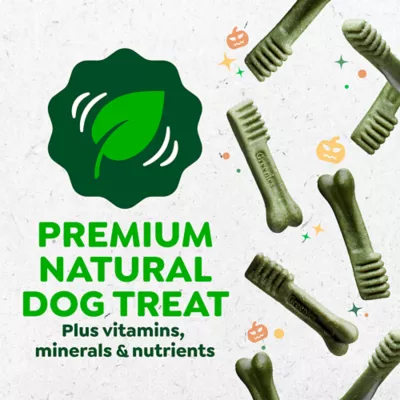 Greenies Adult Natural Dental Dog Treats Regular Size, Pumpkin Spice Flavor, 12 oz. Pack, 12 Count - Image 6