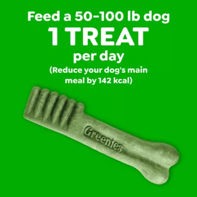 Greenies Adult Natural Dental Dog Treats Large Size, Pumpkin Spice Flavor, 12 oz. Pack, 8 Count - Image 7