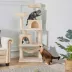 Yaheetech Cat Tree with 2 Condos & 2 Perches - 63 in image thumbnail 2