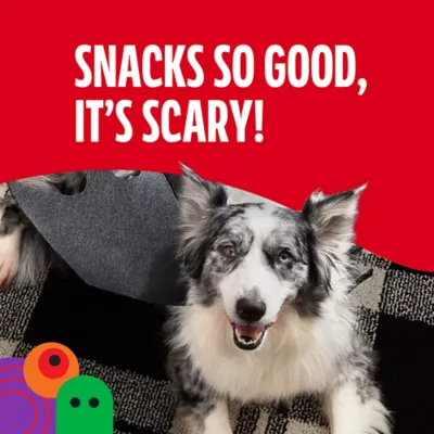 Milk-Bone Soft & Chewy Mini#s Graveyard Bones, Halloween Dog Treats, Beef & Filet Mignon Flavor - Image 5