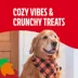 Milk-Bone Dipped Toffee Flavored Dog Biscuits With Vanilla Yogurt Flavored Coating 10 oz image thumbnail 5