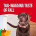 Milk-Bone Pup-kin Spice Biscuits, Pumpkin Spice Artificially Flavored Dog Treats 8 oz image thumbnail 5