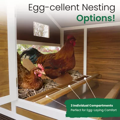 Zoovilla Farmstead Chicken Coop - Image 5