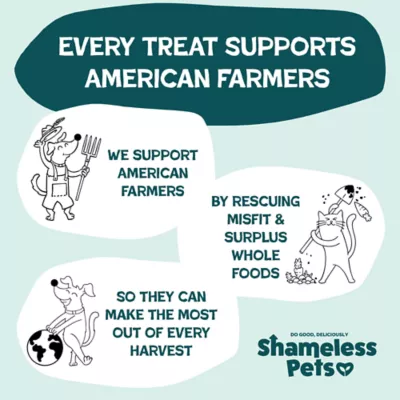 Shameless Pets Meat Me At The Feast, Soft & Meaty Dog Treats - Turkey 8 oz - Image 7