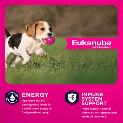 Eukanuba™ Small Breed Puppy Dry Dog Food - Chicken - Image 2