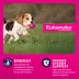Eukanuba™ Small Breed Puppy Dry Dog Food - Chicken image thumbnail 2