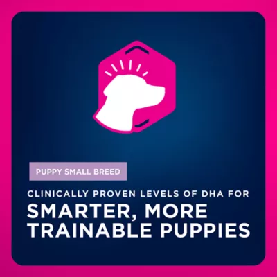 Eukanuba™ Small Breed Puppy Dry Dog Food - Chicken - Image 3