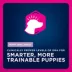 Eukanuba™ Small Breed Puppy Dry Dog Food - Chicken image thumbnail 3