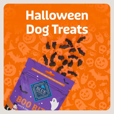 Blue Buffalo Boo Bits Soft & Chewy Halloween Dog Treats, Chicken Recipe, 4.5 oz - Image 3