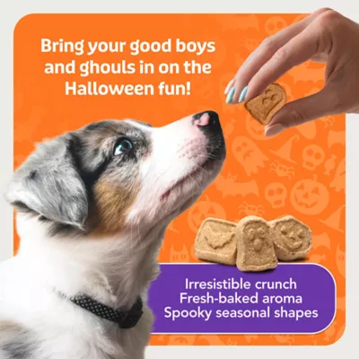 Blue Buffalo Boo Bars Crunchy Halloween Dog Biscuits, Pumpkin & Cinnamon Flavor, 11 oz. - Image 7