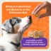 Blue Buffalo Boo Bars Crunchy Halloween Dog Biscuits, Pumpkin & Cinnamon Flavor, 11 oz. image thumbnail 7