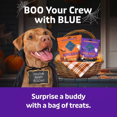 Blue Buffalo Boo Bars Crunchy Halloween Dog Biscuits, Pumpkin & Cinnamon Flavor, 11 oz. - Image 8