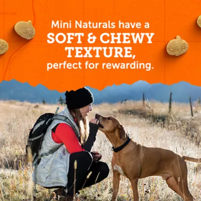 Zuke's Mini Naturals With Added Vitamins & Minerals Dog Treats - Turkey & Pumpkin Flavor 5 OZ - Image 4