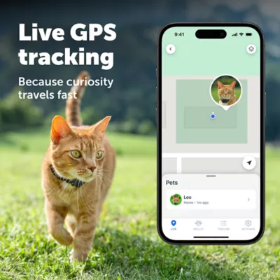 PetSafe® GPS Cat Tracker W/ Remote App Compatibility & Immediate Escape Alerts, Live GPS Tracking - Image 2