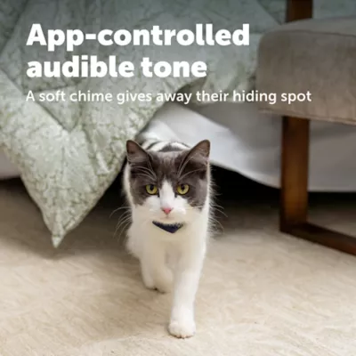 PetSafe® GPS Cat Tracker W/ Remote App Compatibility & Immediate Escape Alerts, Live GPS Tracking - Image 4