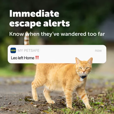 PetSafe® GPS Cat Tracker W/ Remote App Compatibility & Immediate Escape Alerts, Live GPS Tracking - Image 7