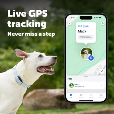 PetSafe Dog GPS Tracker, Includes Tracker with Stainless Steel Clip, 1 Charging base, 1 USB-C cable - Image 3