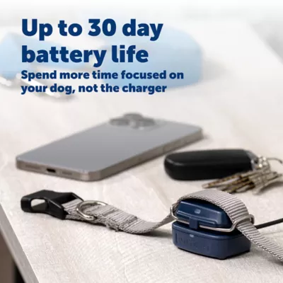 PetSafe Dog GPS Tracker, Includes Tracker with Stainless Steel Clip, 1 Charging base, 1 USB-C cable - Image 6