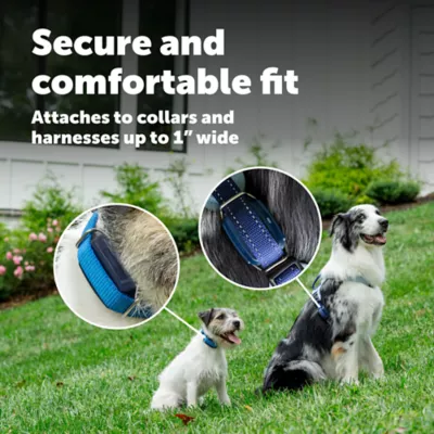 PetSafe Dog GPS Tracker, Includes Tracker with Stainless Steel Clip, 1 Charging base, 1 USB-C cable - Image 8