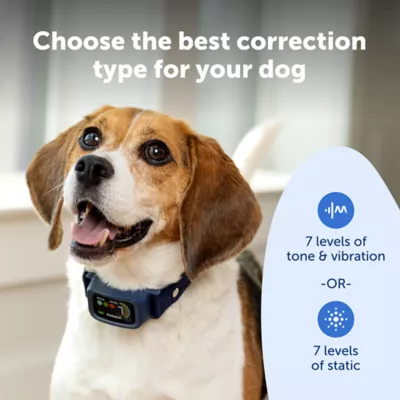 PetSafe Core Digital Dog Bark Collar, Waterproof, for Small Medium or Large Dogs 8 lb. & Up - Image 4