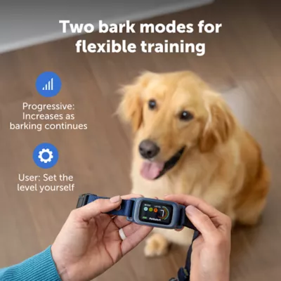 PetSafe Core Digital Dog Bark Collar, Waterproof, for Small Medium or Large Dogs 8 lb. & Up - Image 5