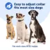 PetSafe Core Digital Dog Bark Collar, Waterproof, for Small Medium or Large Dogs 8 lb. & Up image thumbnail 6