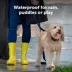 PetSafe Core Digital Dog Bark Collar, Waterproof, for Small Medium or Large Dogs 8 lb. & Up image thumbnail 9
