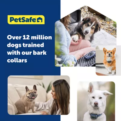 PetSafe Core Digital Dog Bark Collar, Waterproof, for Small Medium or Large Dogs 8 lb. & Up - Image 10