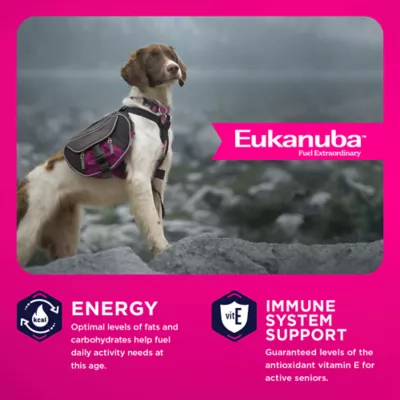 Eukanuba™ Medium Breed Senior Dry Dog Food - Chicken - Image 2