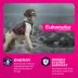 Eukanuba™ Medium Breed Senior Dry Dog Food - Chicken image thumbnail 2