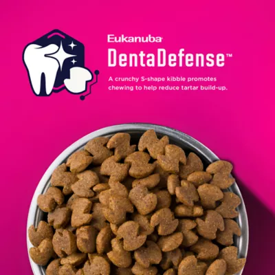 Eukanuba™ Medium Breed Senior Dry Dog Food - Chicken - Image 5