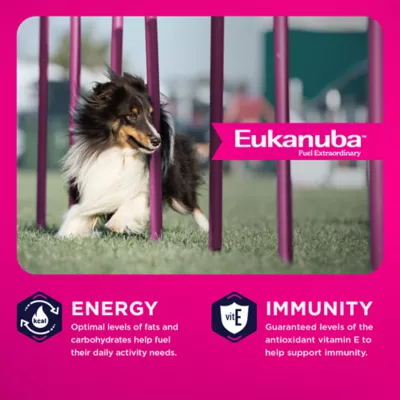Eukanuba™ Medium Breed Adult Dry Dog Food - Lamb & Rice - Image 2