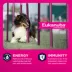 Eukanuba™ Medium Breed Adult Dry Dog Food - Lamb & Rice image thumbnail 2