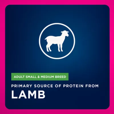 Eukanuba™ Medium Breed Adult Dry Dog Food - Lamb & Rice - Image 3
