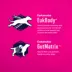 Eukanuba™ Medium Breed Adult Dry Dog Food - Lamb & Rice image thumbnail 4