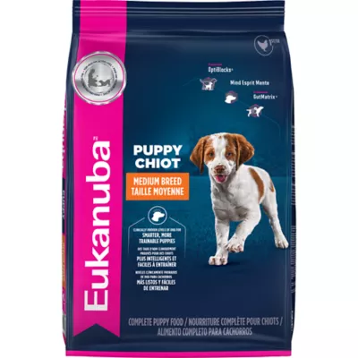 Eukanuba™ Medium Breed Puppy Dry Dog Food - Chicken - Image 1