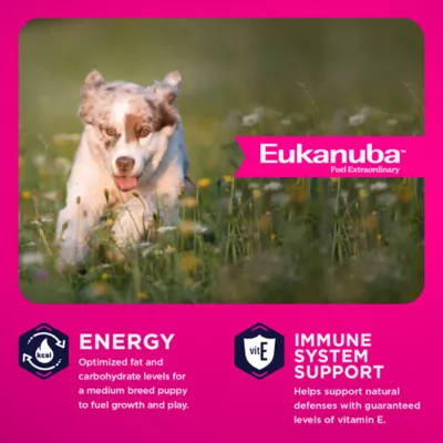 Eukanuba™ Medium Breed Puppy Dry Dog Food - Chicken - Image 2