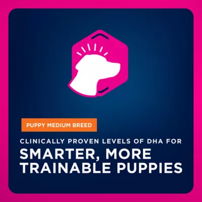 Eukanuba™ Medium Breed Puppy Dry Dog Food - Chicken - Image 3