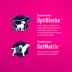 Eukanuba™ Medium Breed Puppy Dry Dog Food - Chicken image thumbnail 4