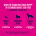Eukanuba™ Medium Breed Puppy Dry Dog Food - Chicken image thumbnail 6