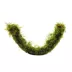 Floating Hammock with Moss Live Plant image thumbnail 1