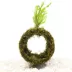 Fish Tunnel with Moss Live Plant image thumbnail 2